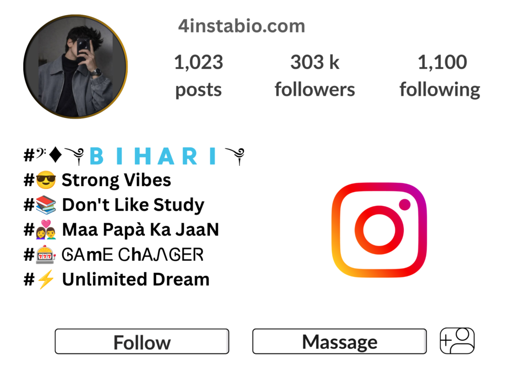 Instagram Bio For Bihari